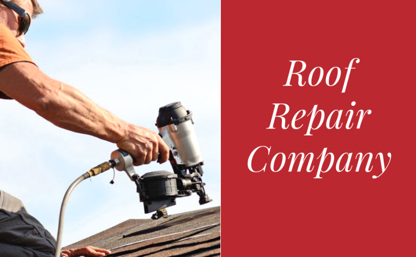 Roof Repair Company