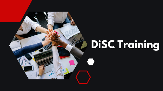 Who are DISC Workshops for: Harnessing the Power of Behavioral Understanding